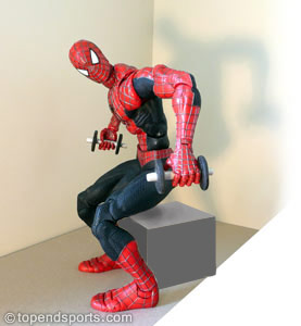 bent over dumbbell raises