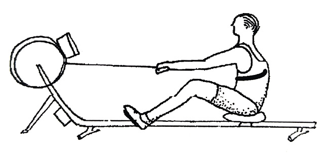 rowing ergometer testing