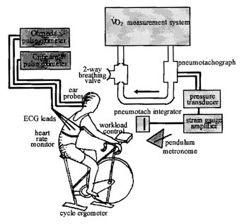 Research Paper Diagram