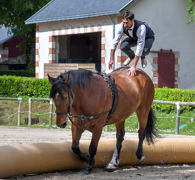 Equestrian vaulting