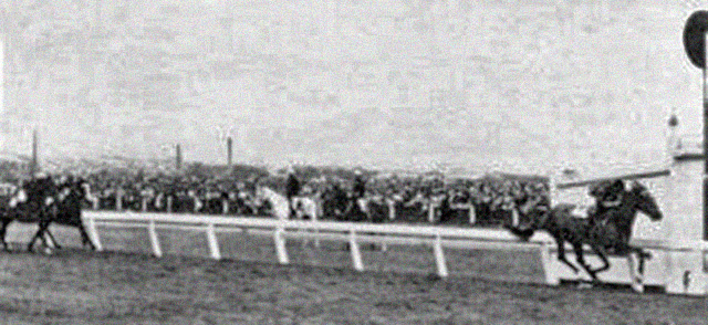 Melbourne Cup horse race