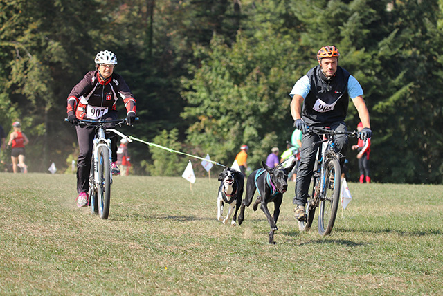 CaniBike (Bikejoring) Event