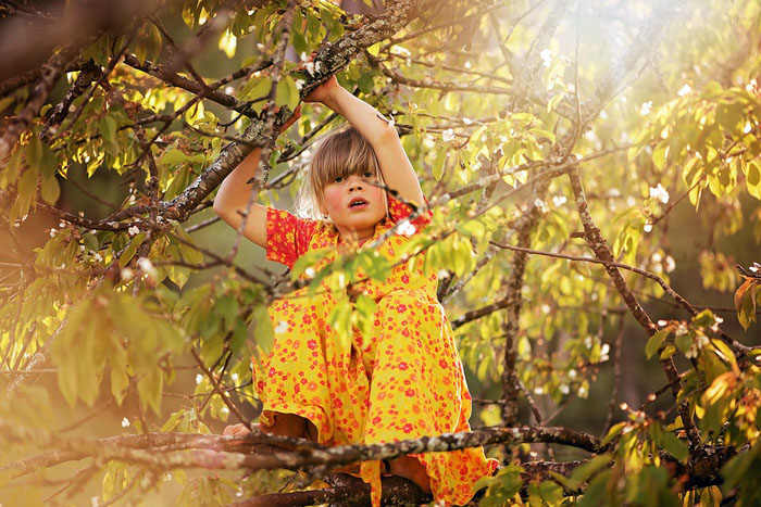 non-competitive tree climbing