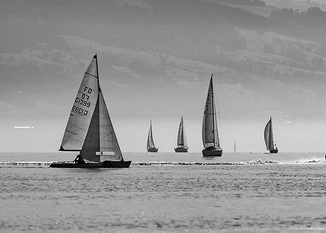sailing race