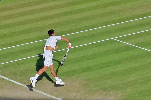 Novak Djokovic 